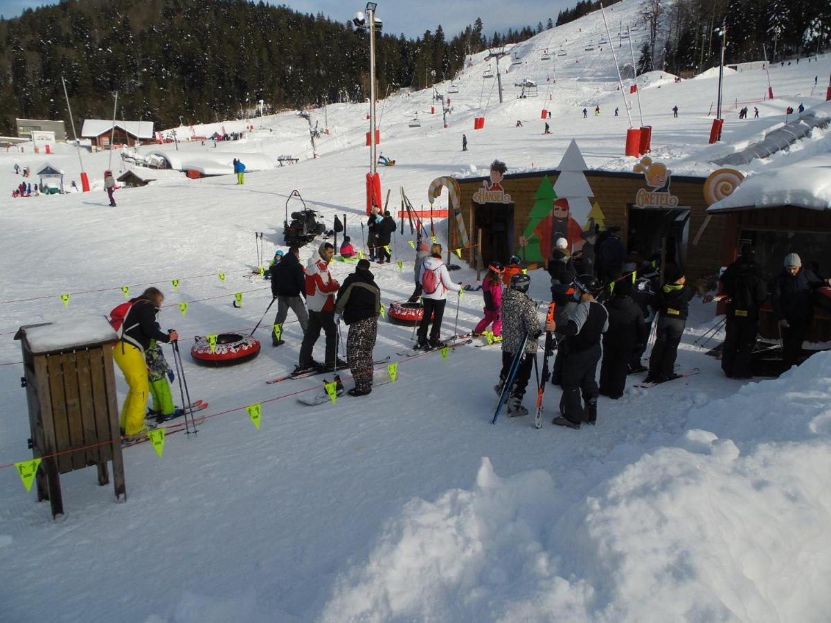 Gite Du Silberwald Charmant Gite Avec Spa - Jacuzzi , Acces Privatif Stosswihr Buitenkant foto