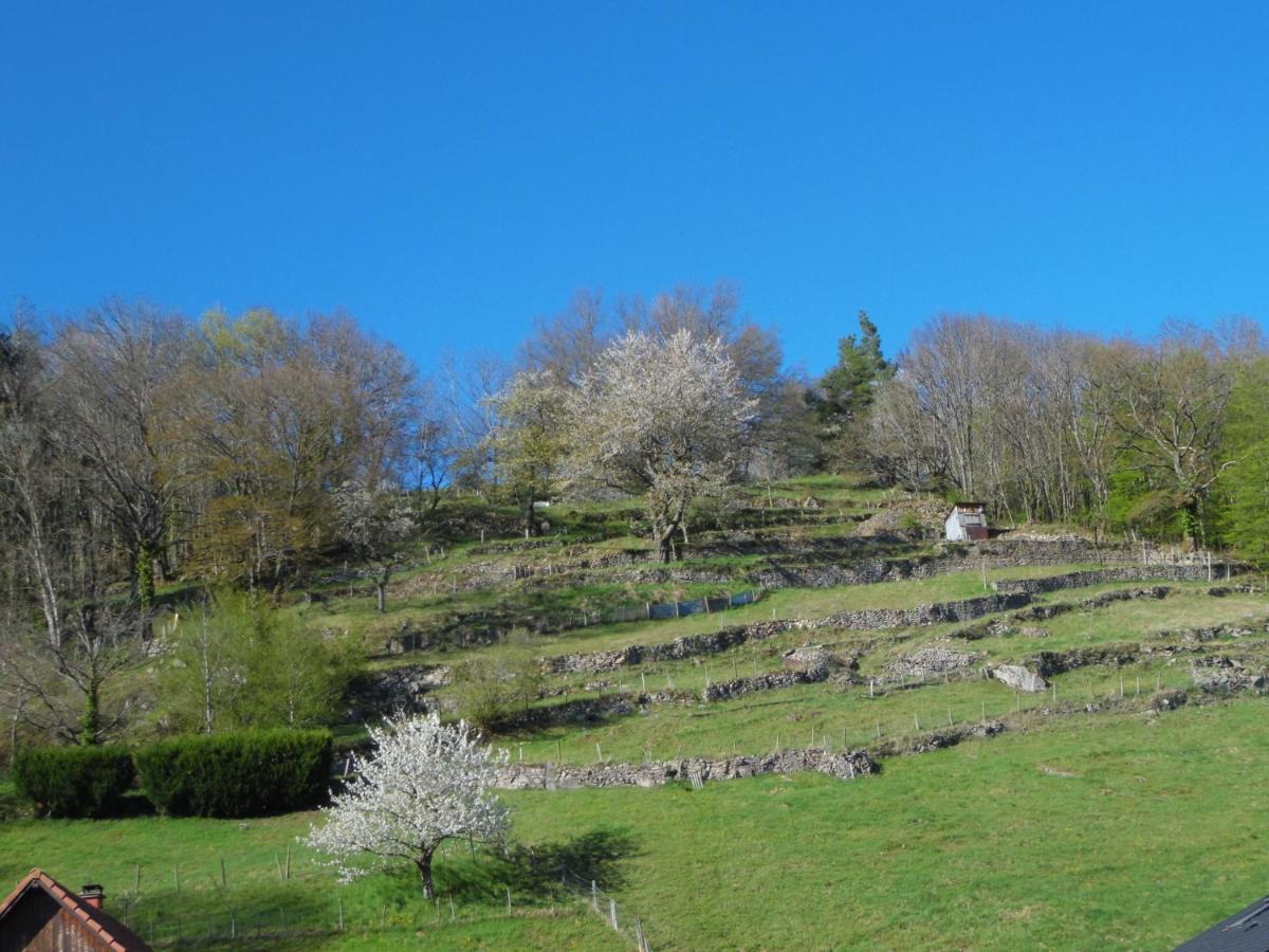 Gite Du Silberwald Charmant Gite Avec Spa - Jacuzzi , Acces Privatif Stosswihr Buitenkant foto