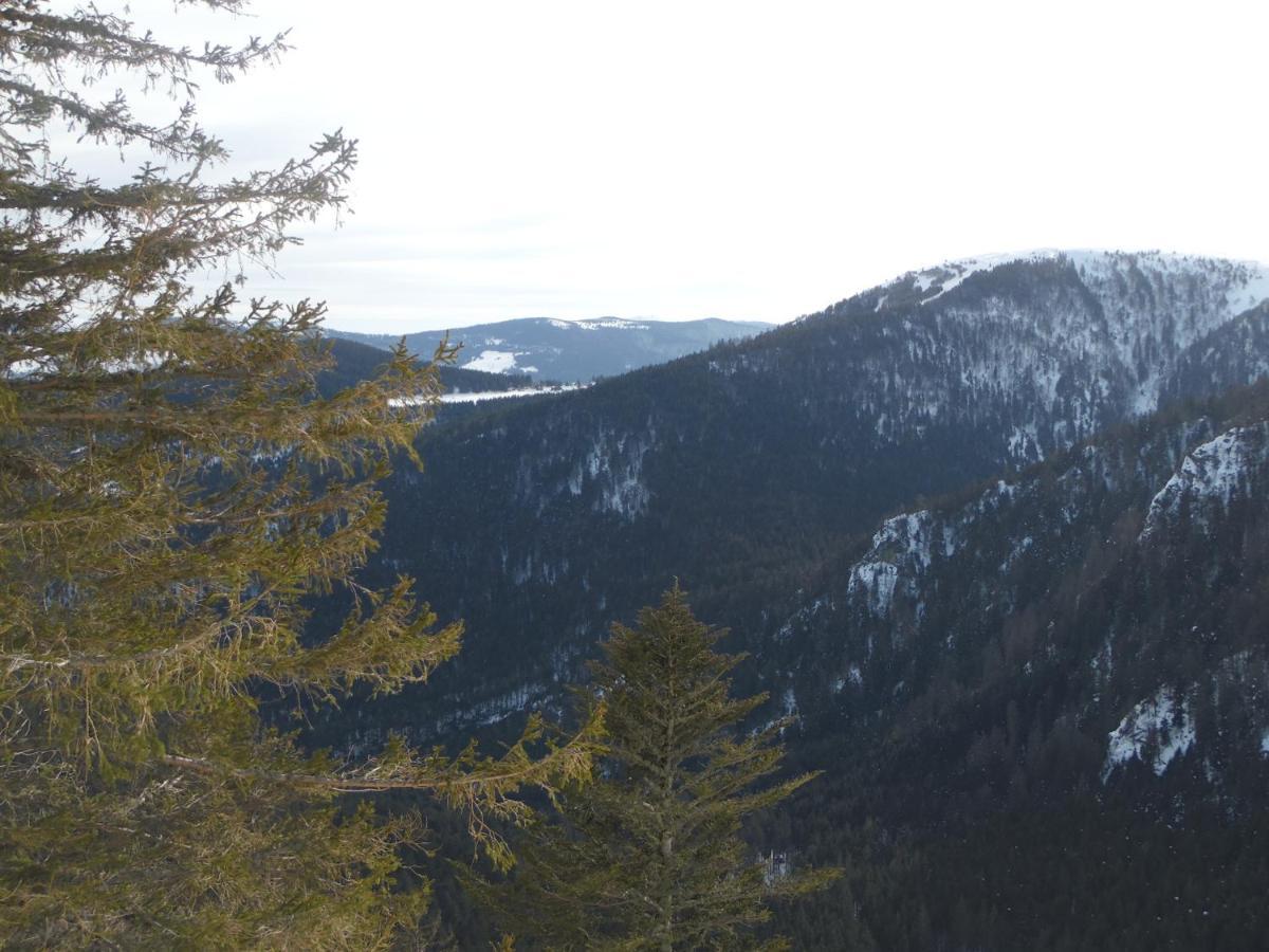 Gite Du Silberwald Charmant Gite Avec Spa - Jacuzzi , Acces Privatif Stosswihr Buitenkant foto